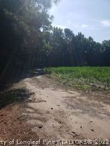 415 Atkinson Road Orrum, NC 28369 - Photo 6 of 17 a view of a yard