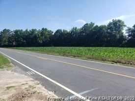 415 Atkinson Road Orrum, NC 28369 - Photo 9 of 17 a view of a yard