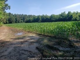 415 Atkinson Road Orrum, NC 28369 - Photo 10 of 17 a view of a garden with trees in the background