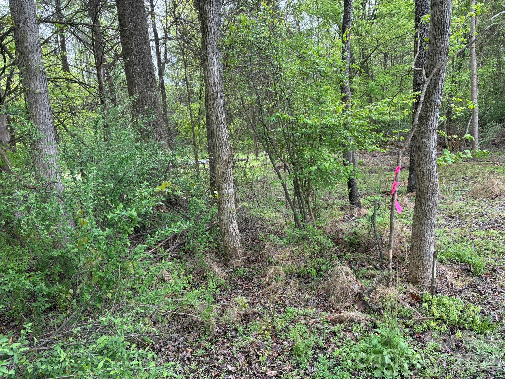 1 Miller Pond Road Rock Hill, SC 29732 - Photo 11 of 13