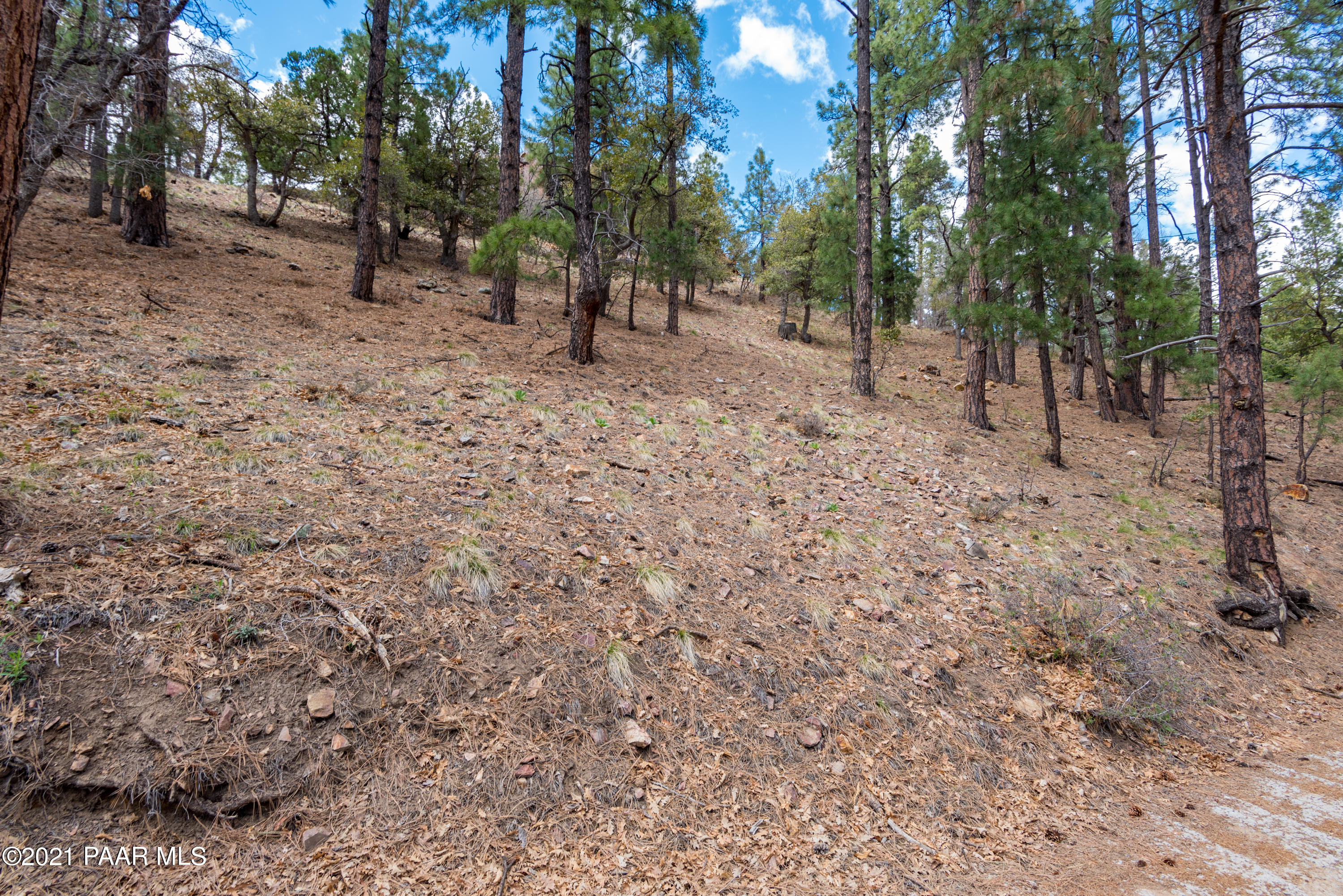0 East Sheldon Road Prescott, AZ 86303 - Photo 14 of 16 DSC_7003