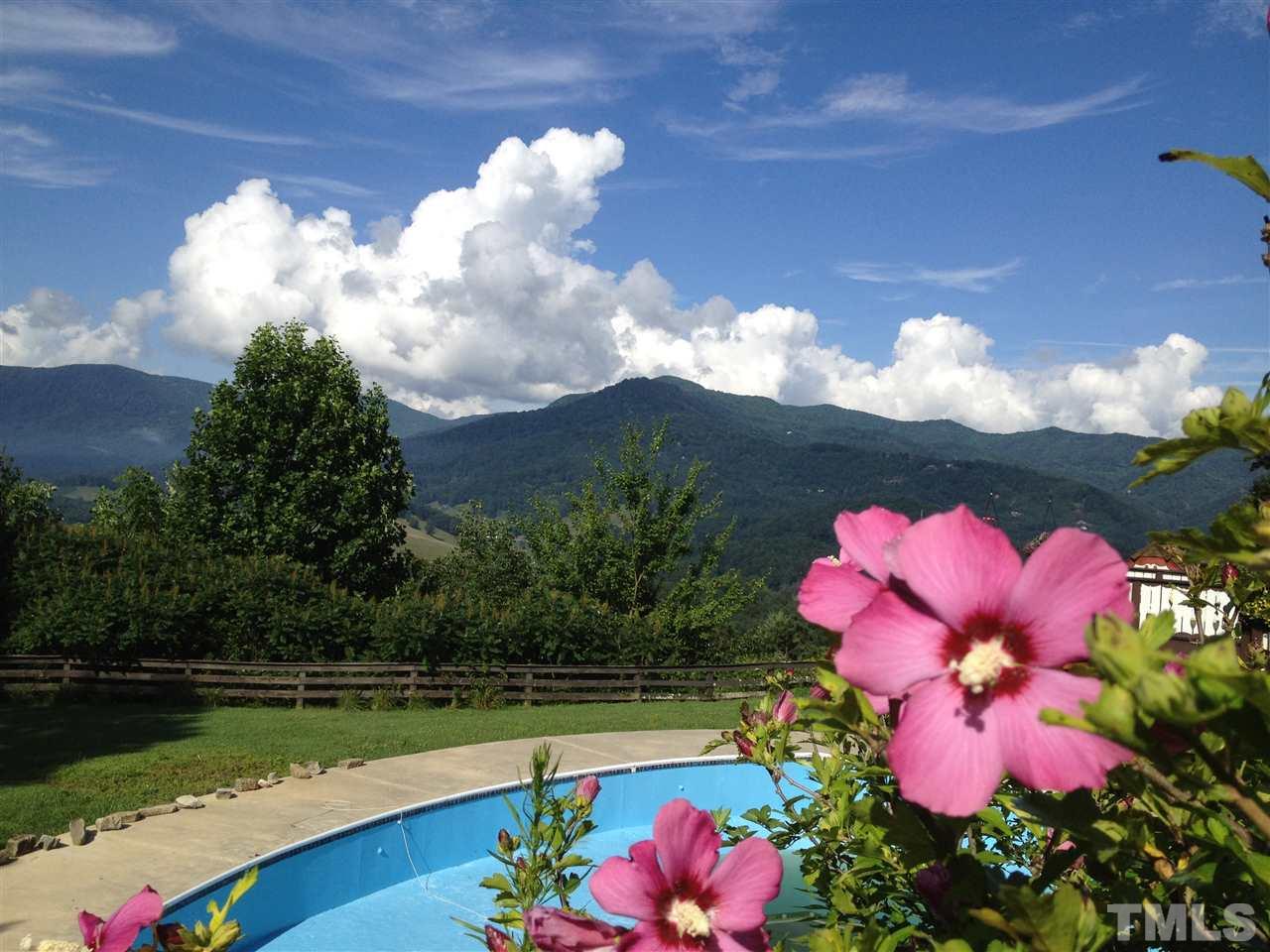 1192 Rabbit Skin Road Waynesville, NC 28785 - Photo 25 of 25 Gallery Image 25