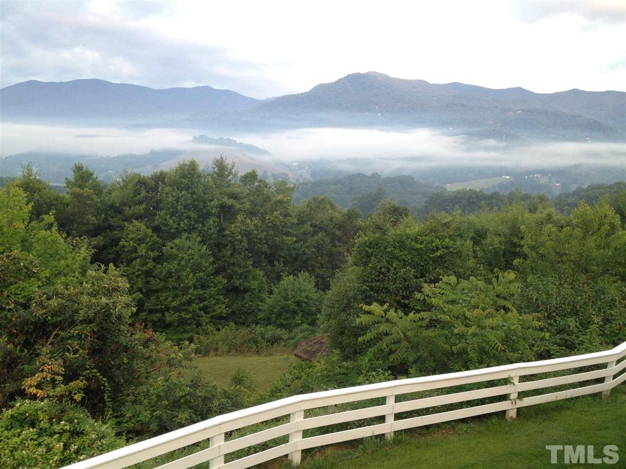 1192 Rabbit Skin Road Waynesville, NC 28785 - Photo 4 of 25 Gallery Image 4