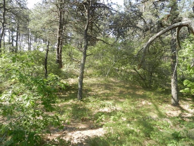 195 Old Chequessett Neck Road Wellfleet, MA 02667 - Photo 1 of 10 Primary Photo