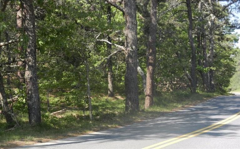 195 Old Chequessett Neck Road Wellfleet, MA 02667 - Photo 2 of 10 Additional Photo