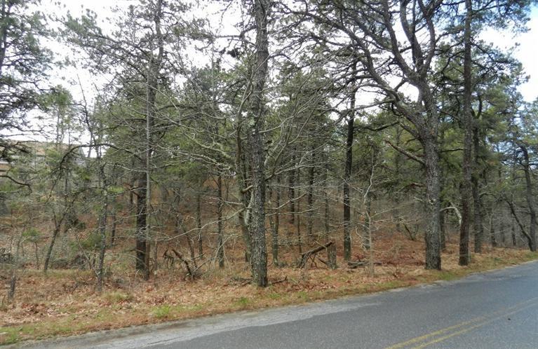 195 Old Chequessett Neck Road Wellfleet, MA 02667 - Photo 6 of 10 Additional Photo