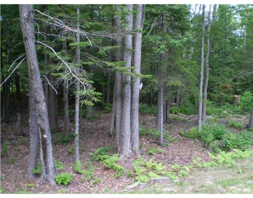 640 River Road Brunswick, ME 04011 - Photo 7 of 10 Yard/Garden. Pretty woods set off...