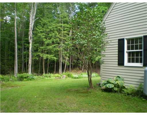 640 River Road Brunswick, ME 04011 - Photo 8 of 10 Exterior Back. Side yard hostas.