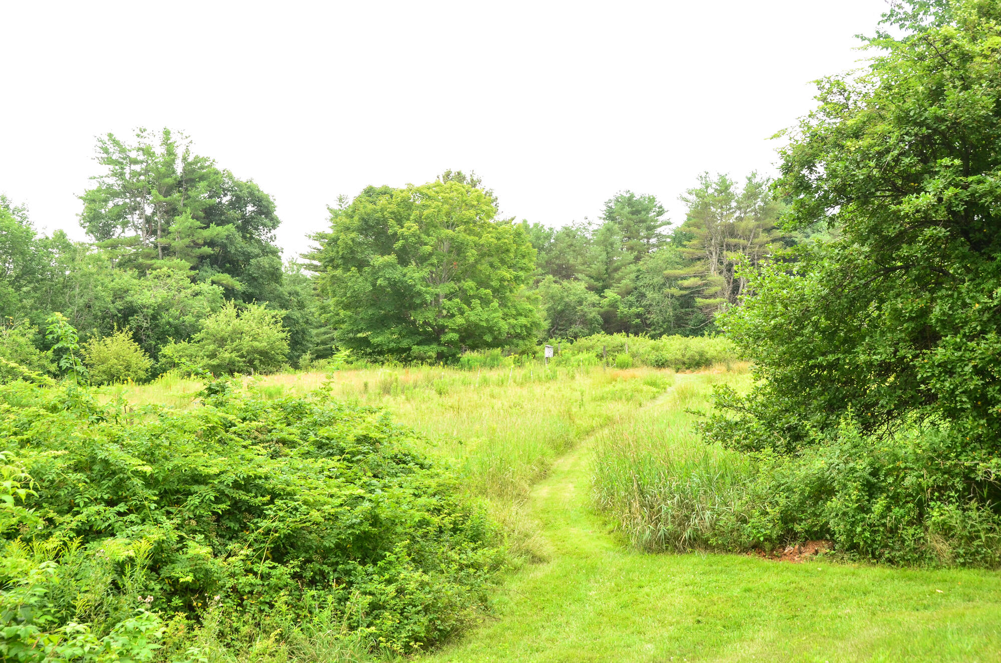 1263 River Road Bowdoinham, ME 04008 - Photo 87 of 97 0089-2024 KarenRamsayPhoto-DSC_0070