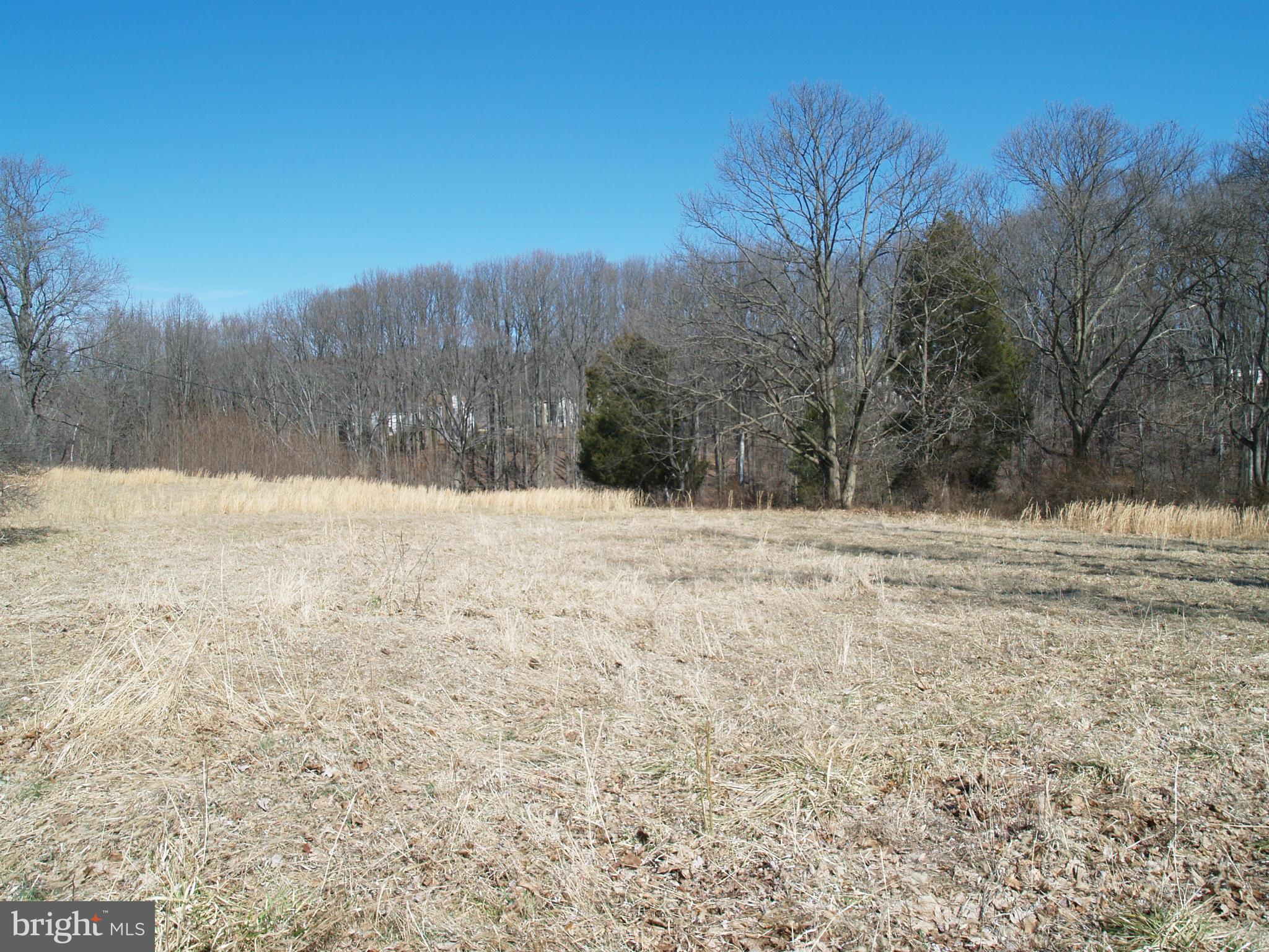 9921 Belair Road Perry Hall, MD 21128 - Photo 4 of 12 Exterior (General)