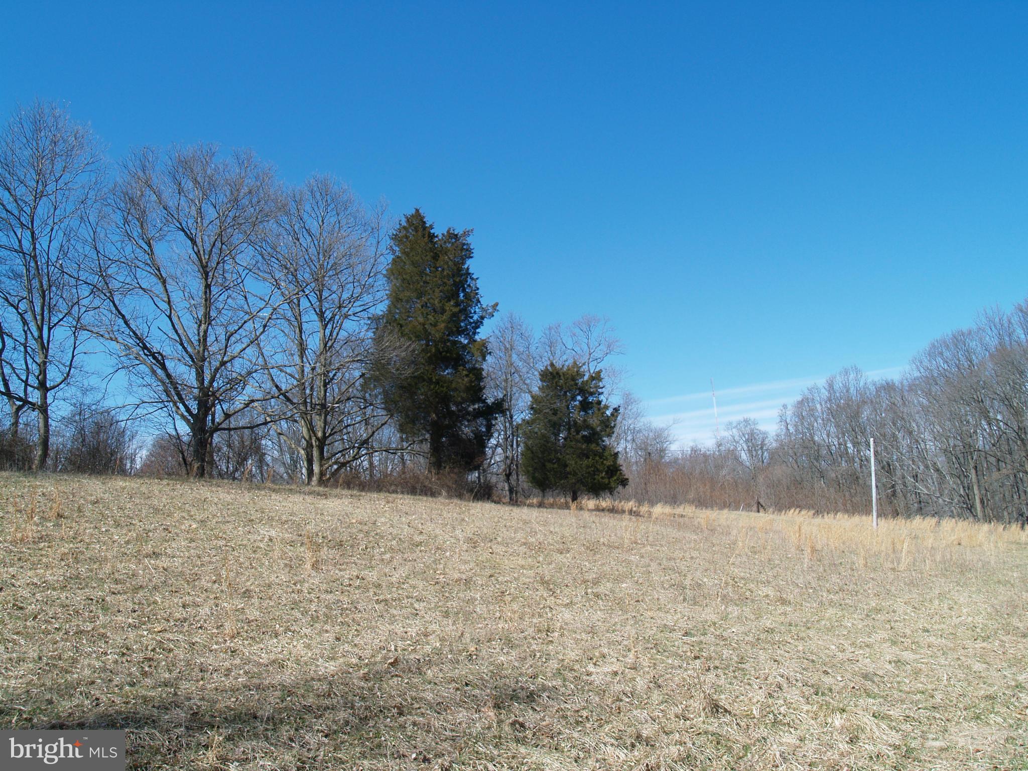 9921 Belair Road Perry Hall, MD 21128 - Photo 7 of 12 Exterior (General)