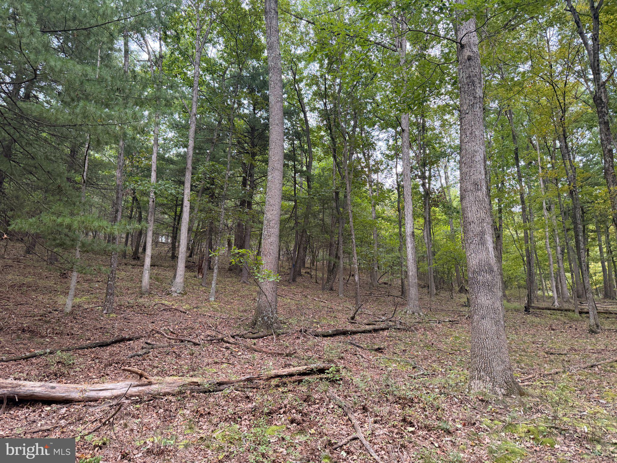 24200 East Hancock Road Flintstone, MD 21530 - Photo 101 of 126 Gallery Image 101