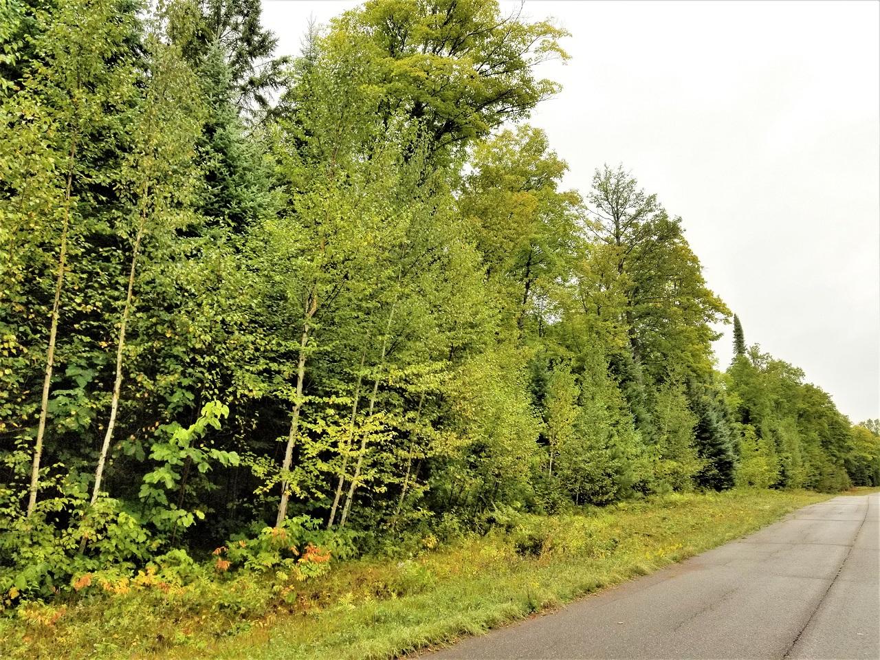 2-3 Timberline Road Mercer, WI 54547 - Photo 10 of 10 Gallery Image 10