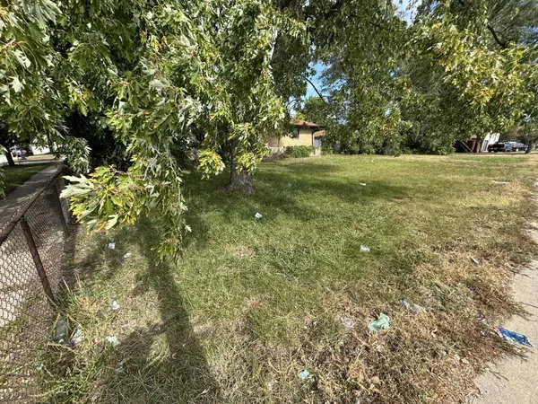 a view of a yard with a tree