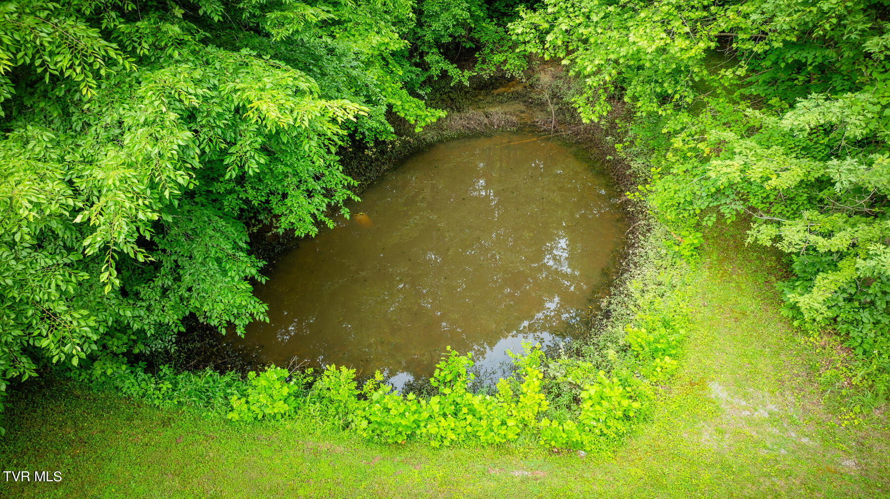 Tbd Tbd Lashay Lane Bulls Gap, TN 37711 - Photo 4 of 11 118