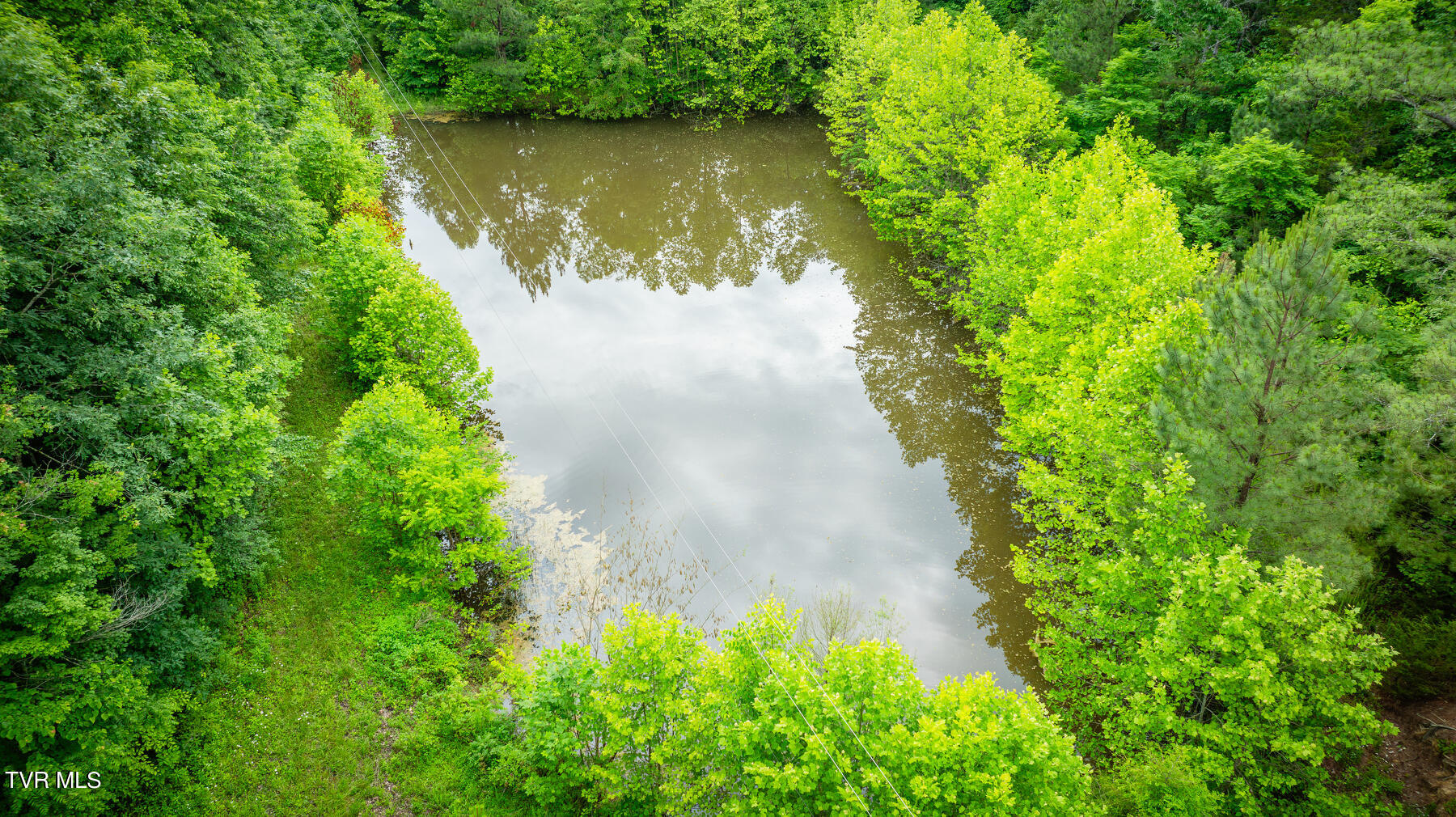 Tbd Tbd Lashay Lane Bulls Gap, TN 37711 - Photo 5 of 11 116