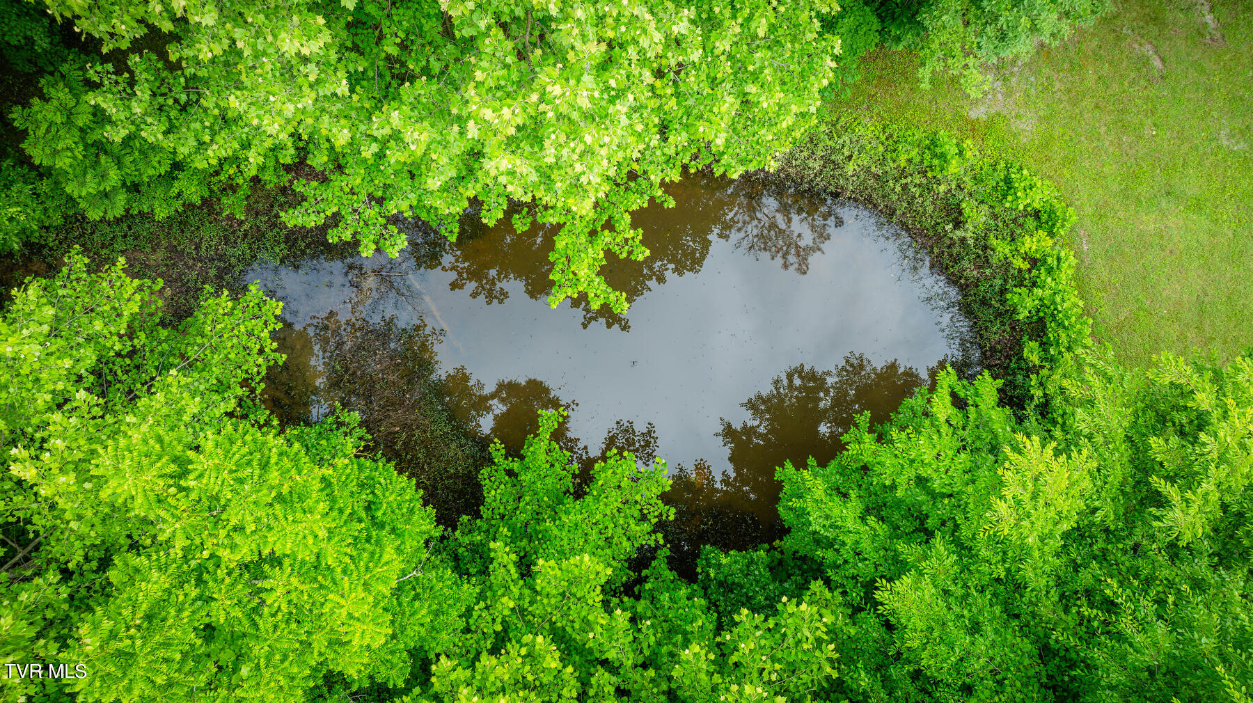 Tbd Tbd Lashay Lane Bulls Gap, TN 37711 - Photo 6 of 11 117