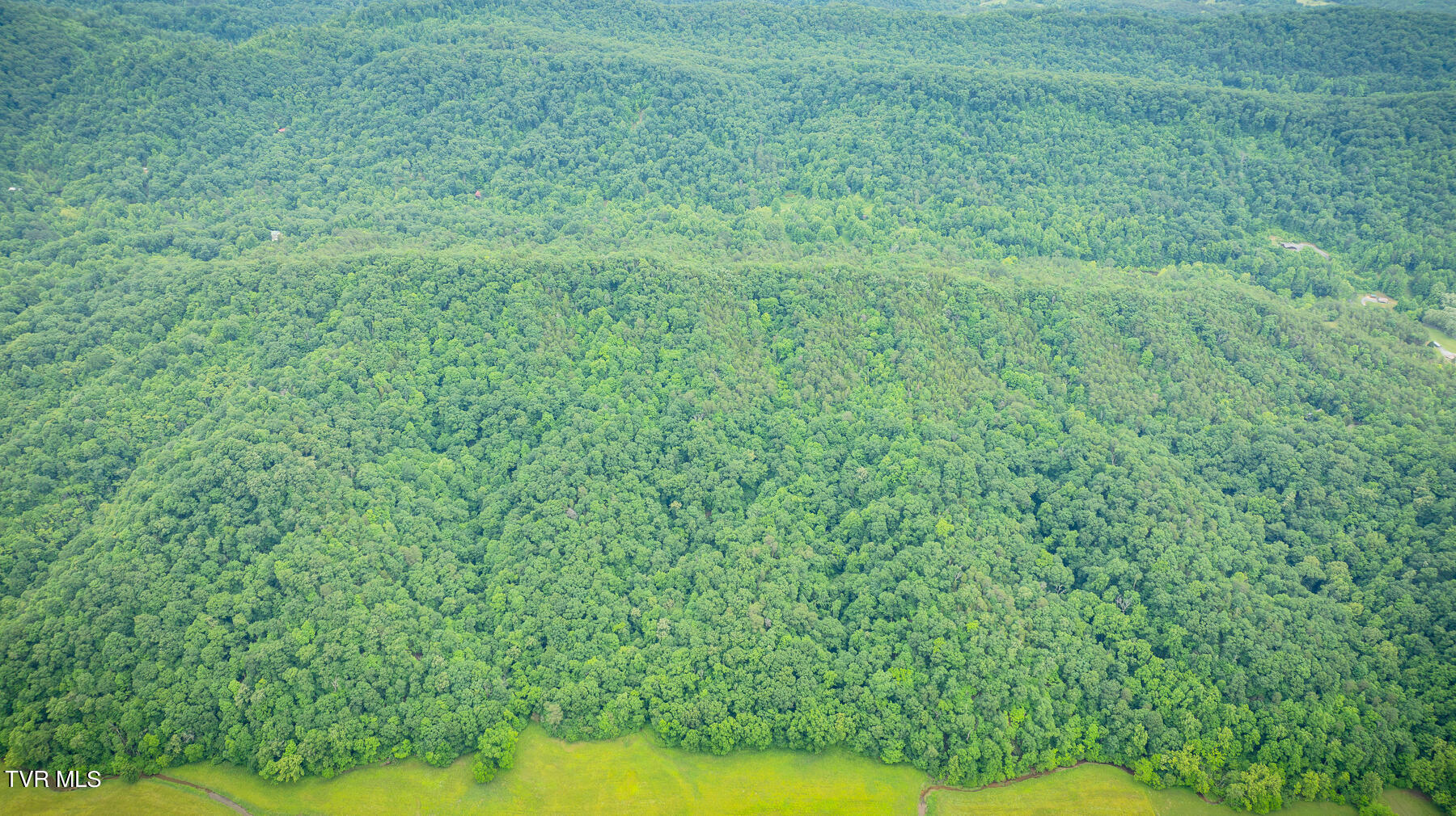 Tbd Tbd Lashay Lane Bulls Gap, TN 37711 - Photo 8 of 11 106 (2)