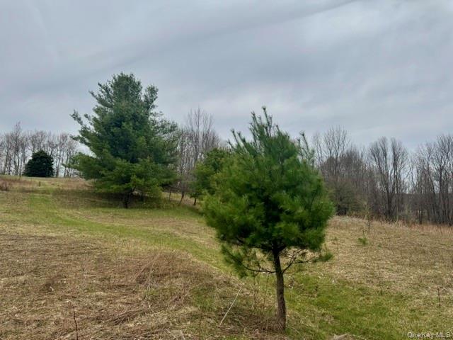 Lot 4 Shaver Hill Road Meridale, NY 13806 - Photo 37 of 45 Gallery Image 37