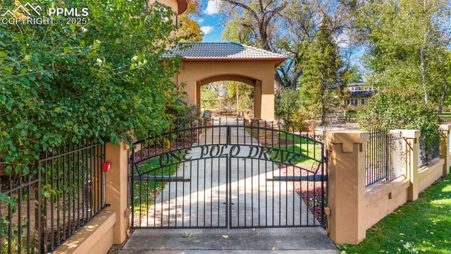 a view of a small yard and large trees