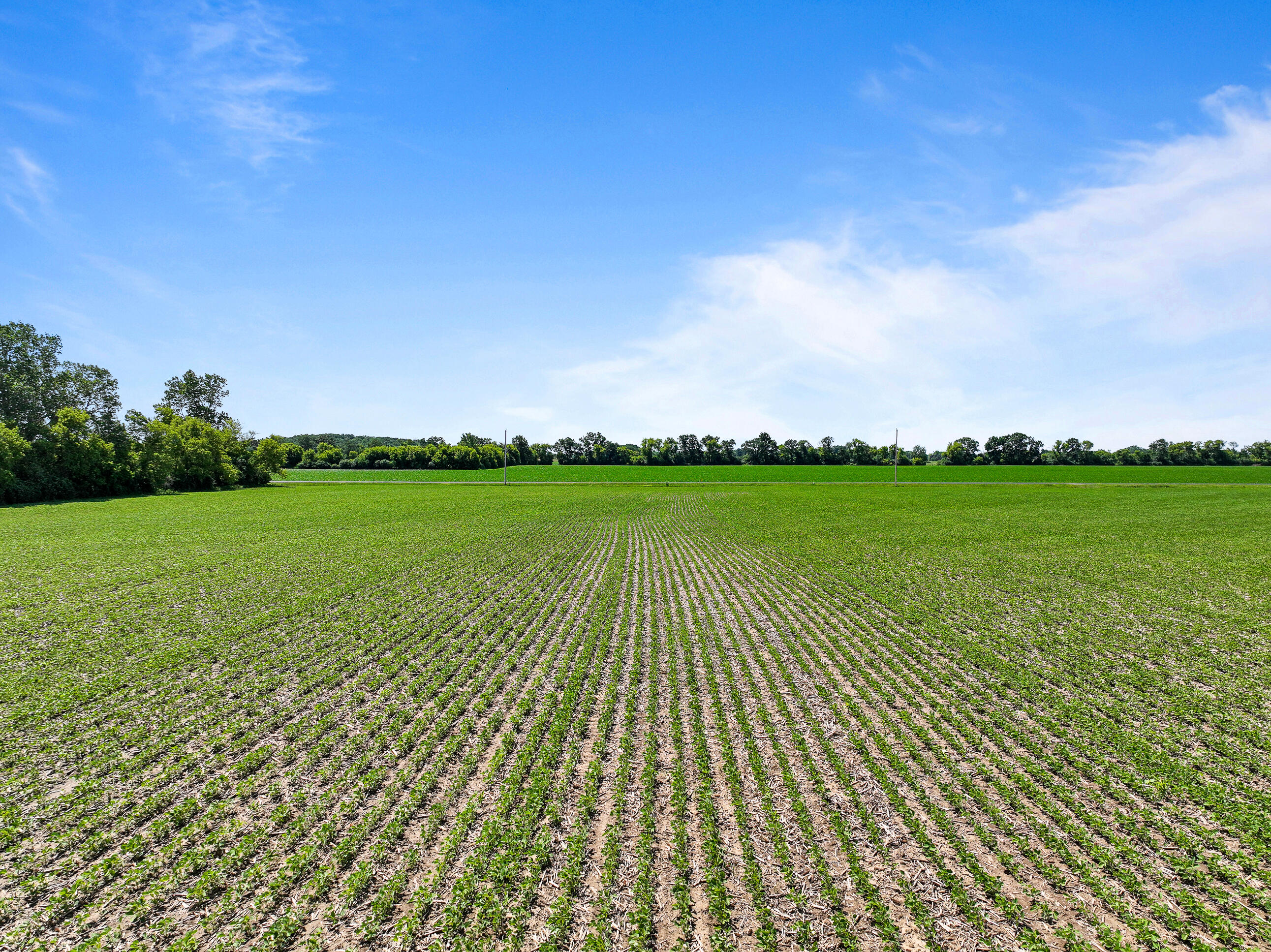 29224 Mt Tom Road Burlington, WI 53105 - Photo 28 of 63 tillable land or possible new home site