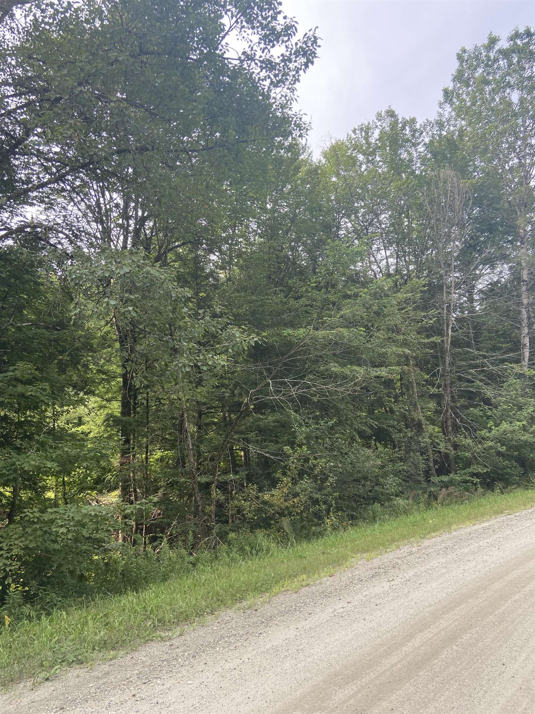 0 Burrington Bridge Road East Burke, VT 05832 - Photo 6 of 8 Gallery Image 6