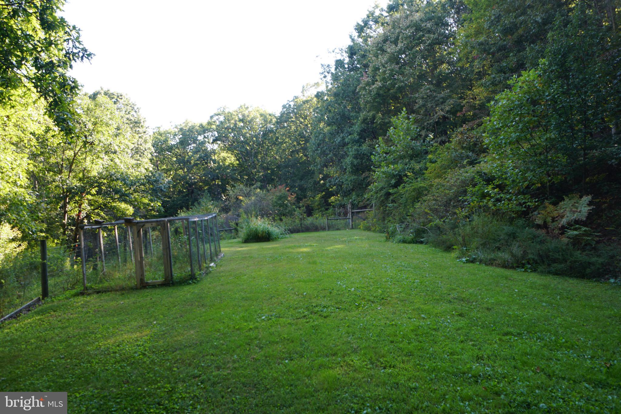 1537 Hidden Valley Road Franklin, WV 26807 - Photo 74 of 78 Lush green retreat embraced by nature.