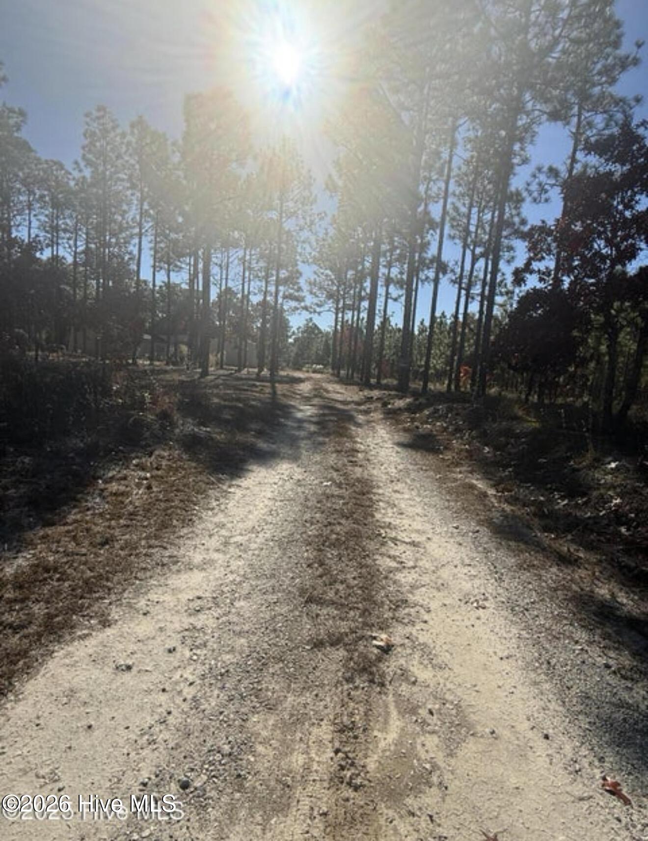 531 Eagle Road Newport, NC 28570 - Photo 6 of 14 Long Driveway