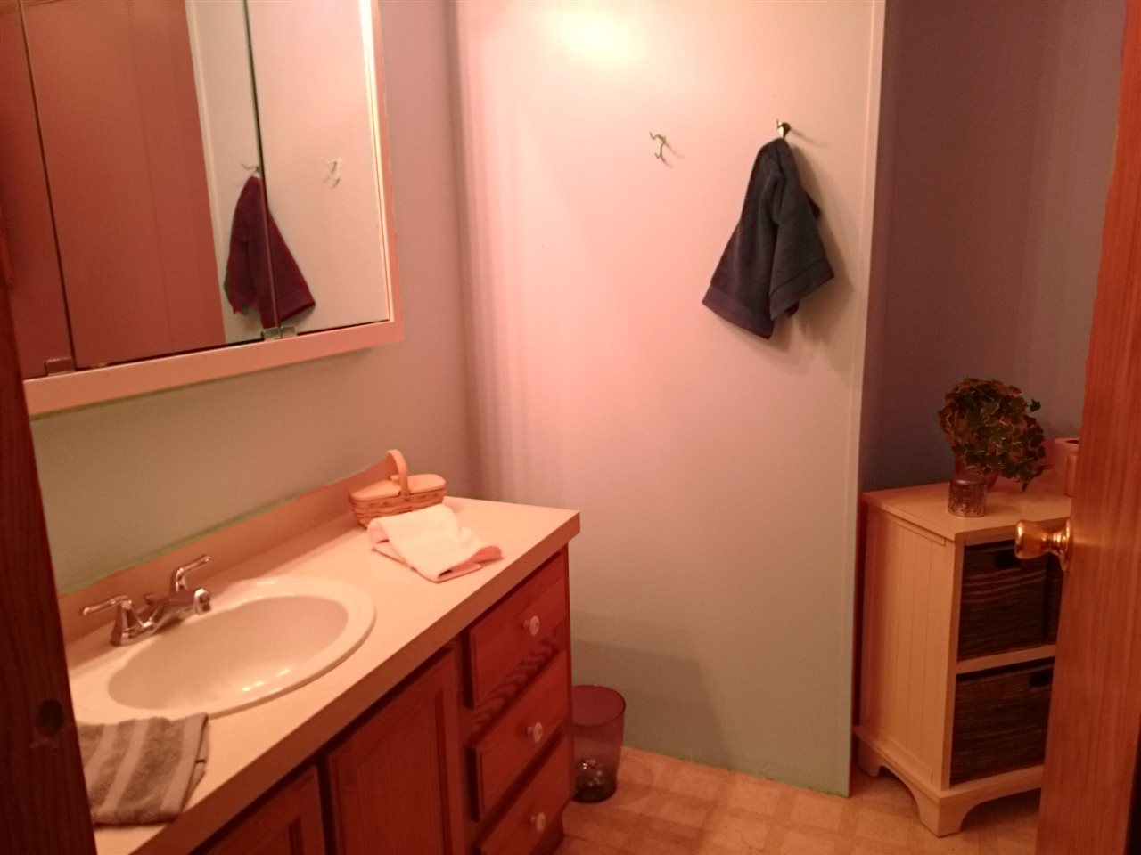 10330 Pittsburg Road Durand, MI 48429 - Photo 23 of 58 31305444-22.JPG