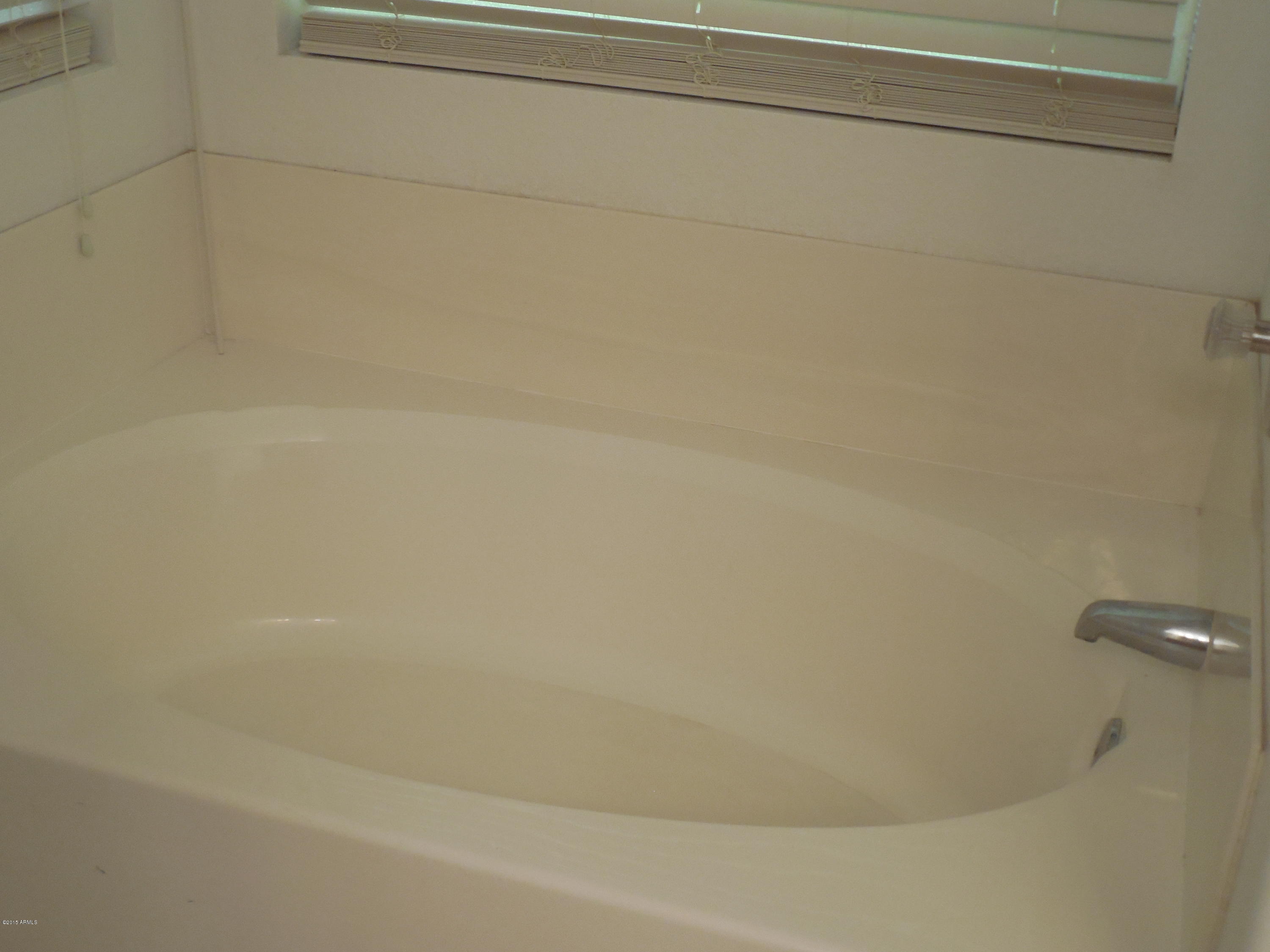 1369 South Monterey Street Gilbert, AZ 85233 - Photo 26 of 28 DSCN0598