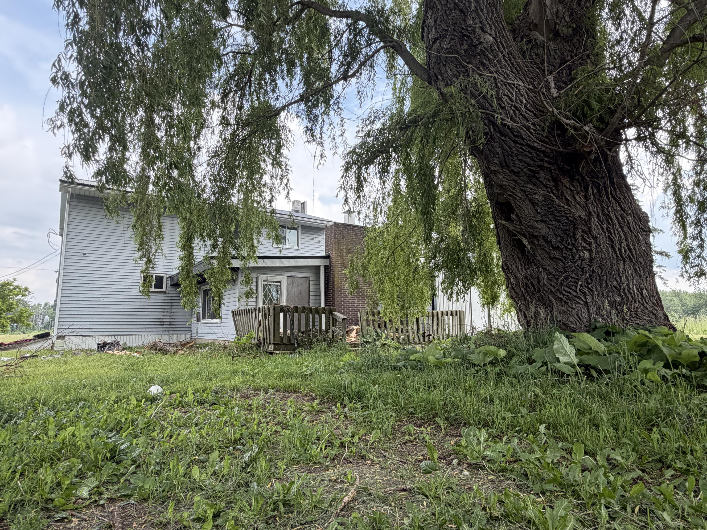 19525 West Pierson Road Pierson, MI 49339 - Photo 3 of 17 Photo 3