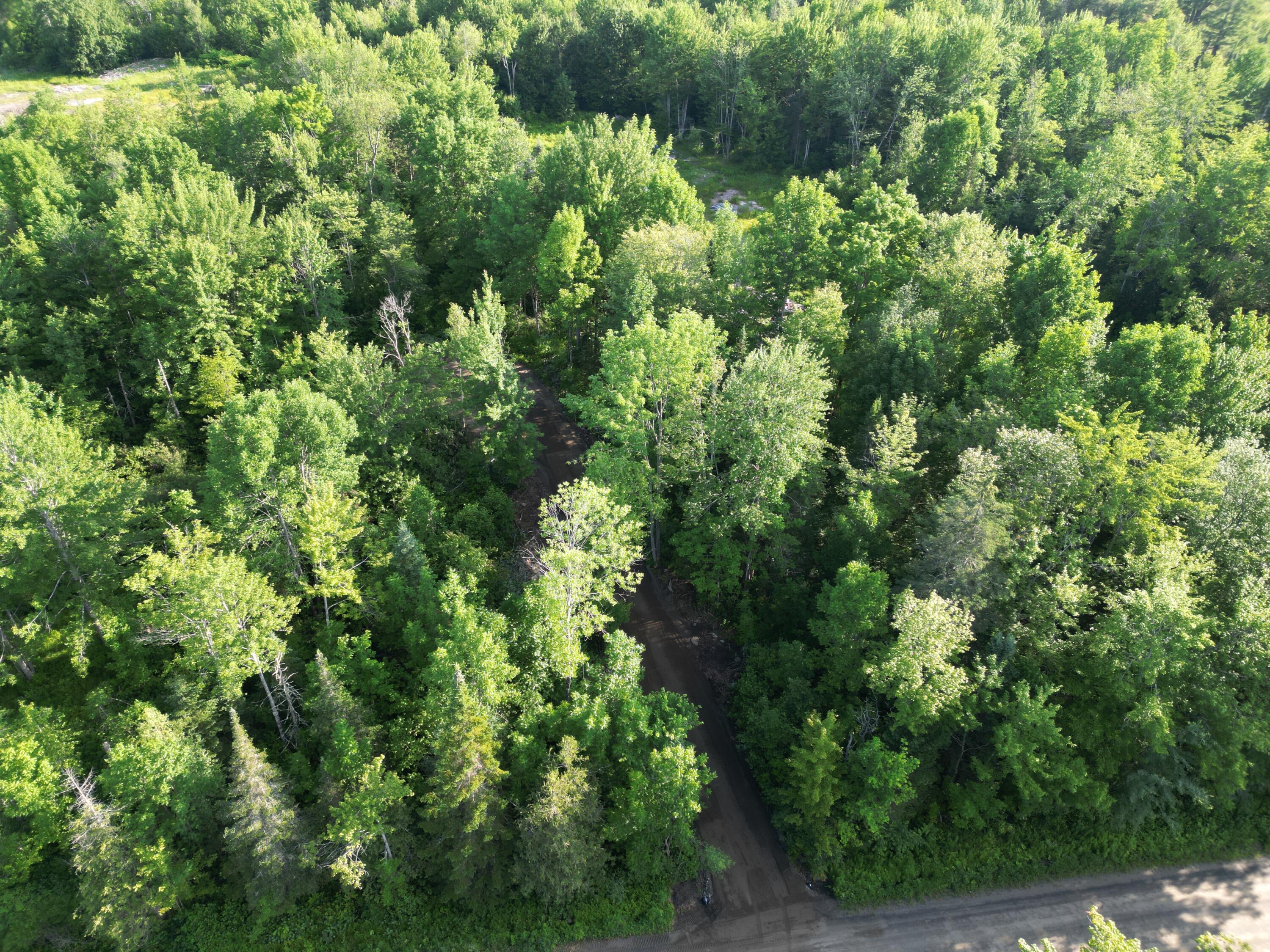 Tbd Bacon Road Charleston, ME 04422 - Photo 11 of 16 DJI_0019