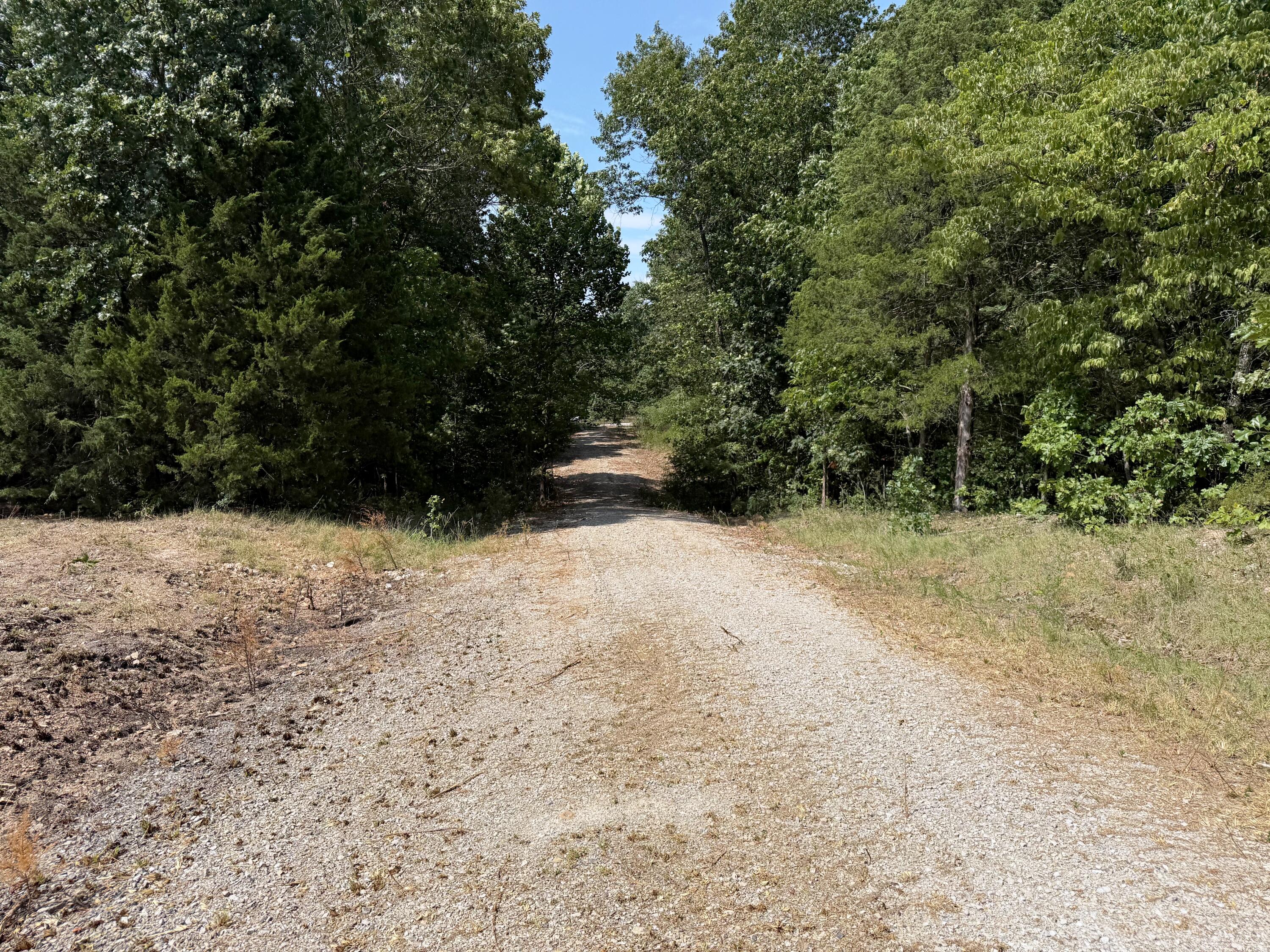 16-ac Spring Valley Road Shell Knob, MO 65747 - Photo 14 of 14 The Road in,.