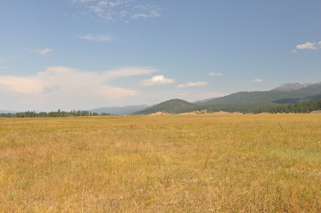 Tbd Farm To Market Road McCall, ID 83638 - Photo 5 of 10