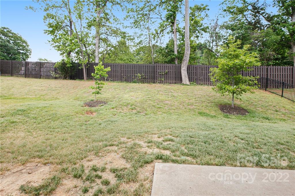 125 Morgan's Branch Road Belmont, NC 28012 - Photo 19 of 20 Gallery Image 19
