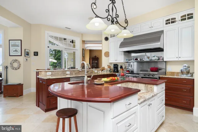 a front view of a house with a garden and plants