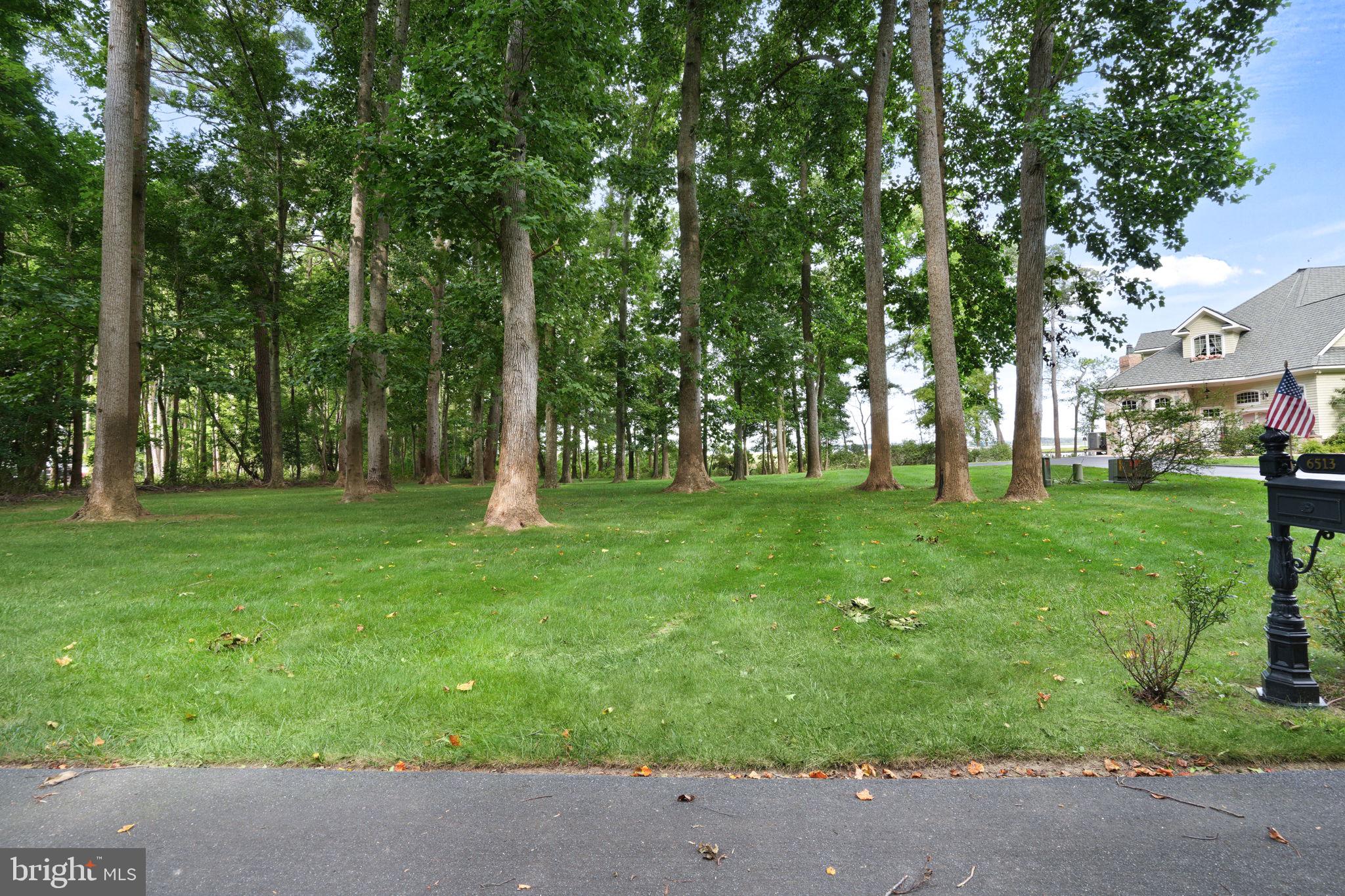 6513 Hampton Road Berlin, MD 21811 - Photo 8 of 129 Side yard, room for additional Carriage House