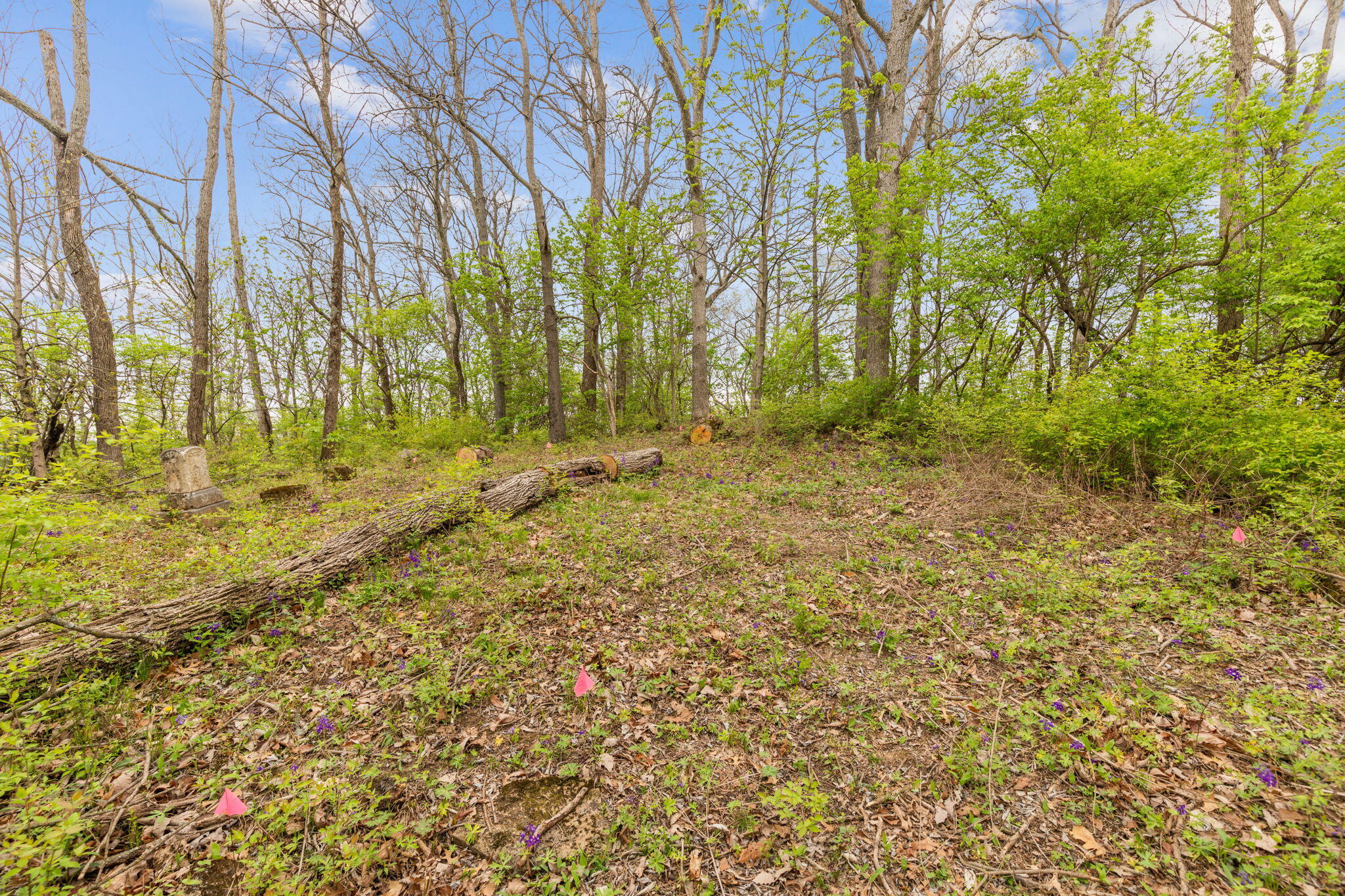 4231 River Road, Unit PARCELB Hebron, KY 41048 - Photo 5 of 22