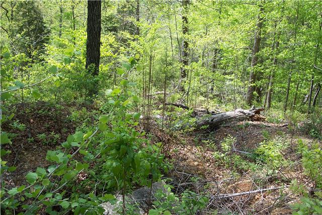 1198 Collier Bend Road Charlotte, TN 37036 - Photo 15 of 16 Gallery Image 15