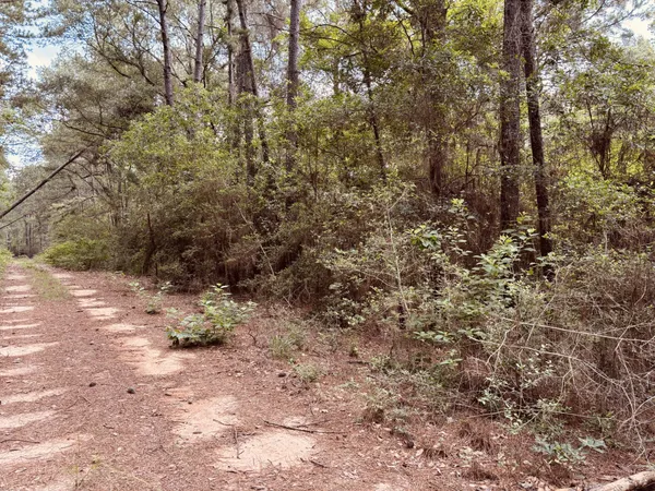 $19,000 | 16646 East Sioux Drive, Hempstead, TX 77445