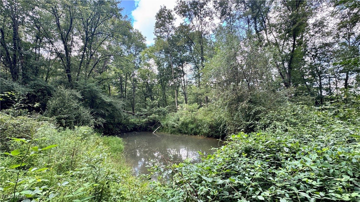 294 County Road Conesville, OH 43811 - Photo 27 of 39 View of local wilderness featuring a large body of water