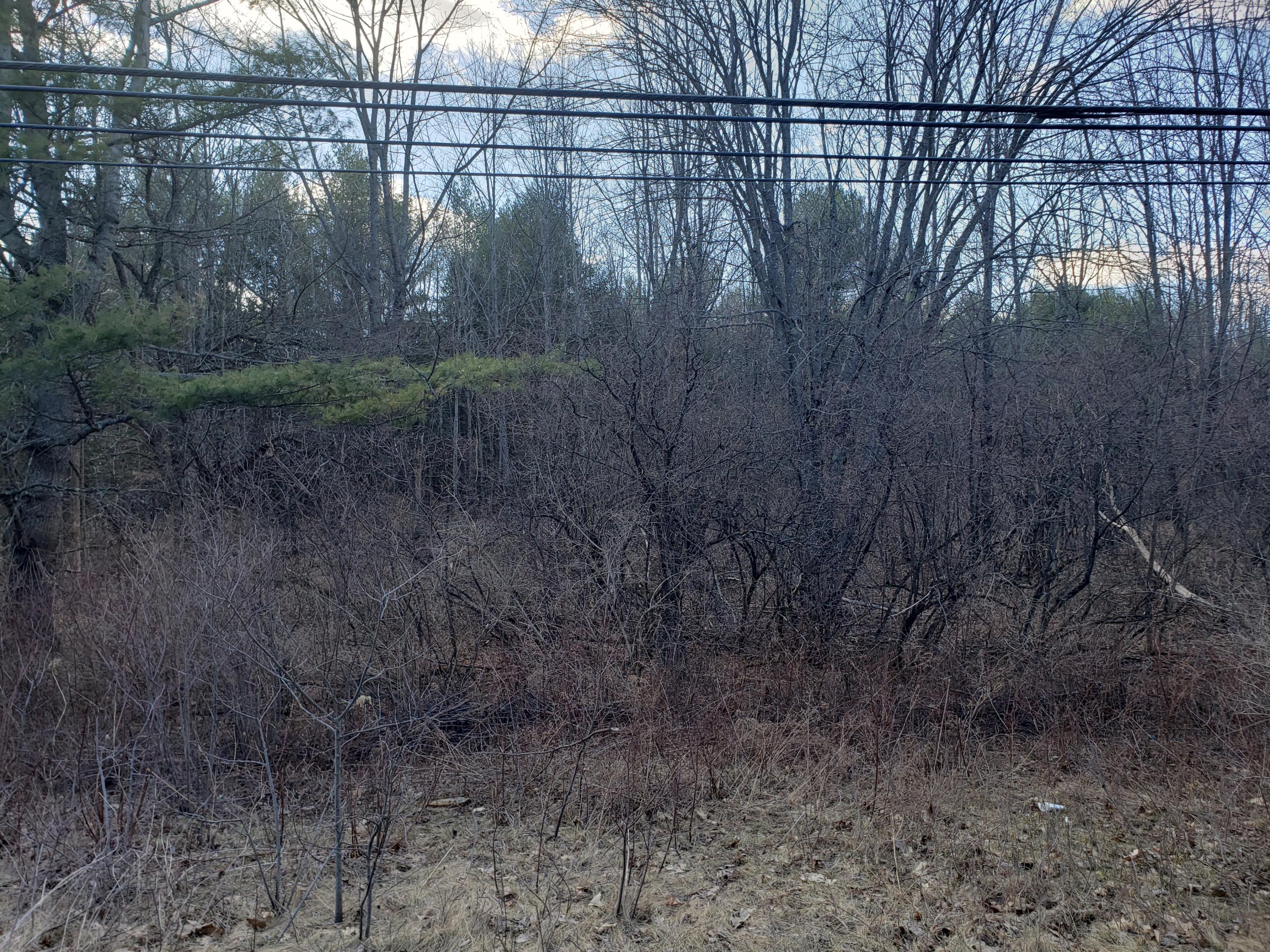 Lot 41-cdef Lot 41-cdef China Road Winslow, ME 04901 - Photo 7 of 17 41-D 2