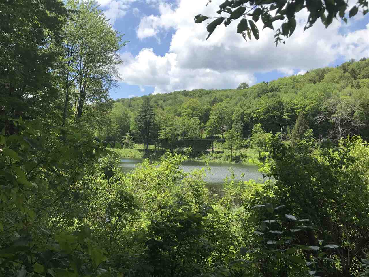 0 Weatherhead Hollow Road Guilford, VT 05301 - Photo 3 of 6