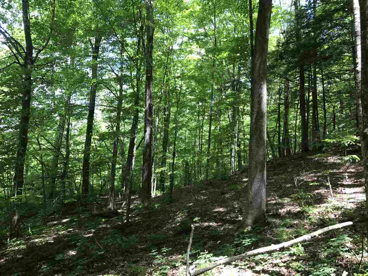 0 Weatherhead Hollow Road Guilford, VT 05301 - Photo 6 of 6