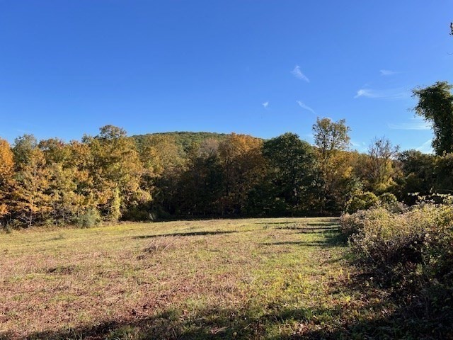 Lot D Lot D South Road Hampden, MA 01036 - Photo 13 of 22