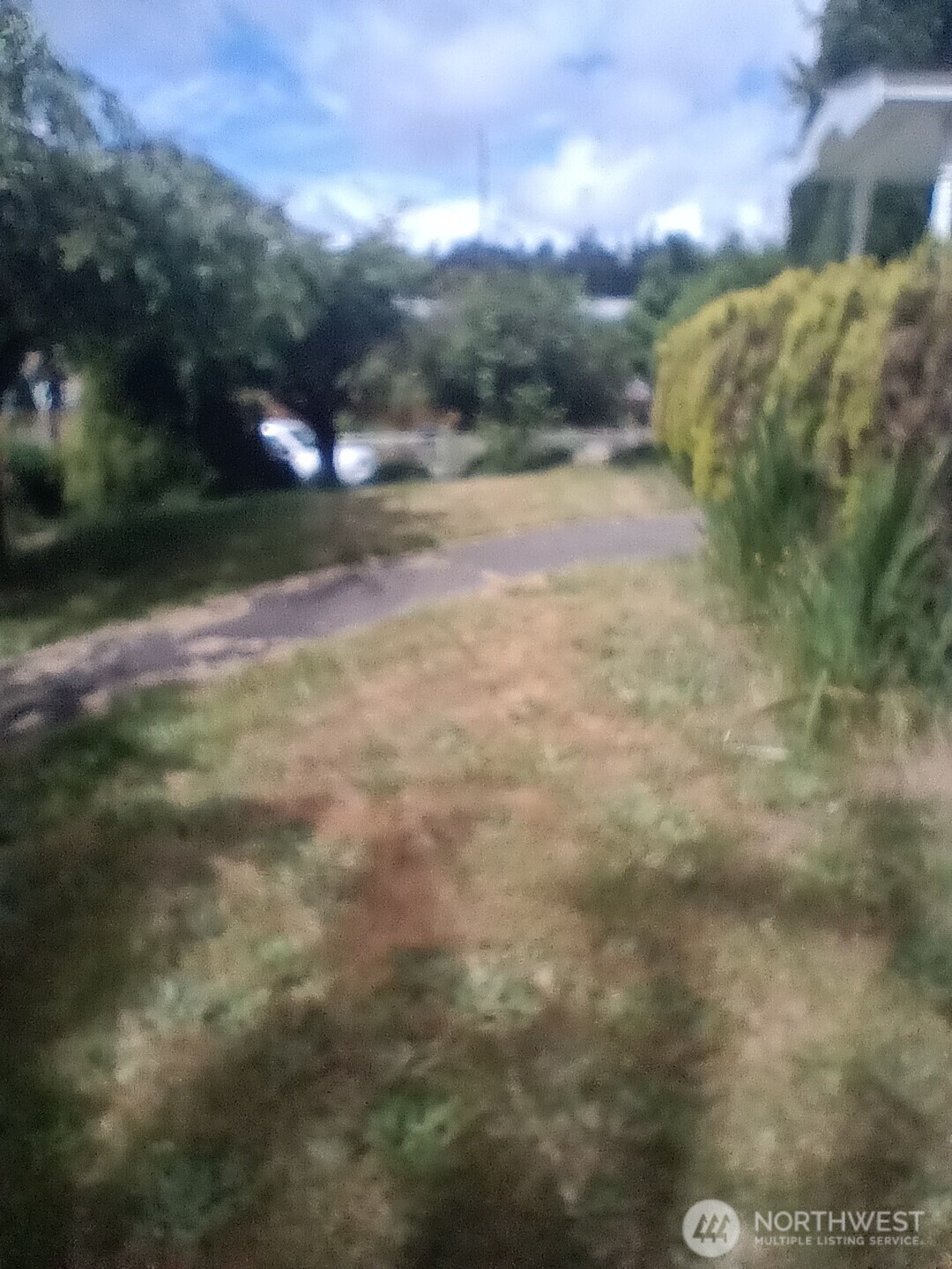 522 Northeast 127th Street Seattle, WA 98125 - Photo 12 of 28 a view of a yard