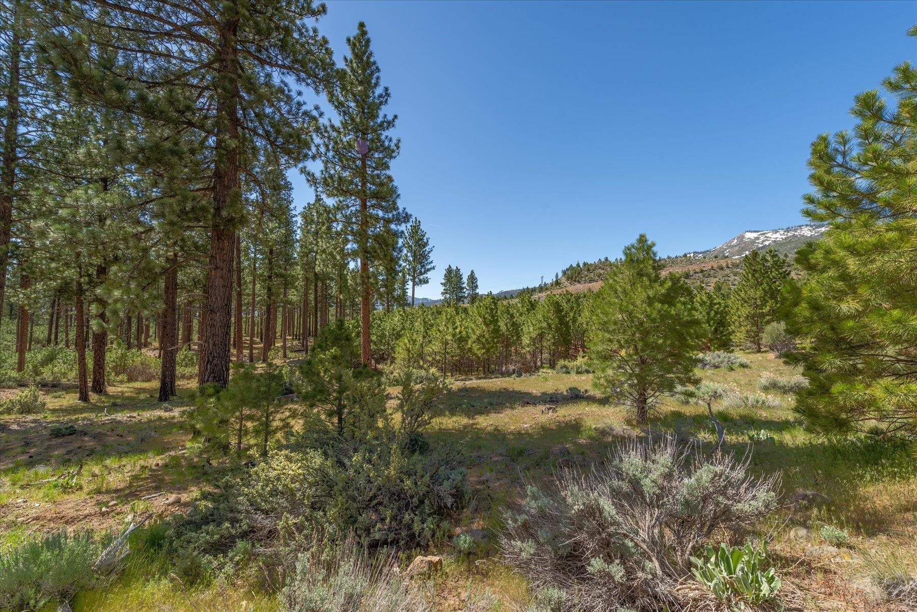 Feenune Road Loyalton, CA 96118 - Photo 28 of 28