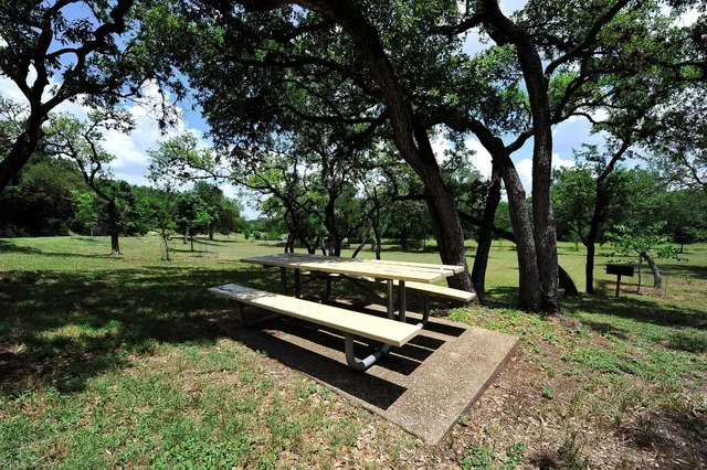 a view of a backyard with large trees
