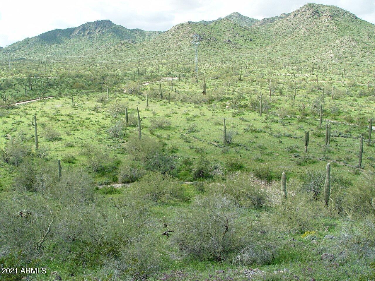 54214 West Whirly Bird Road, Unit 32 Maricopa, AZ 85139 - Photo 1 of 25 a view of a lush green hillside and a houses