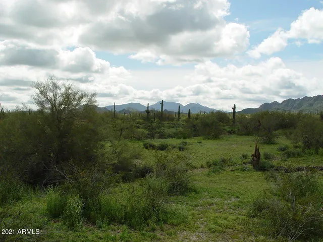 a view of a yard and covered with lots of green space